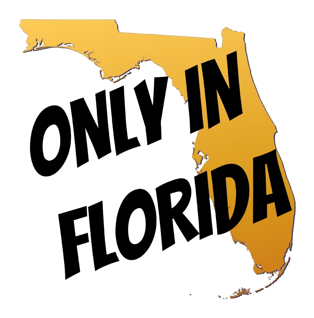 Funny Florida Laws That Are Still on the Books Lowman Law Firm